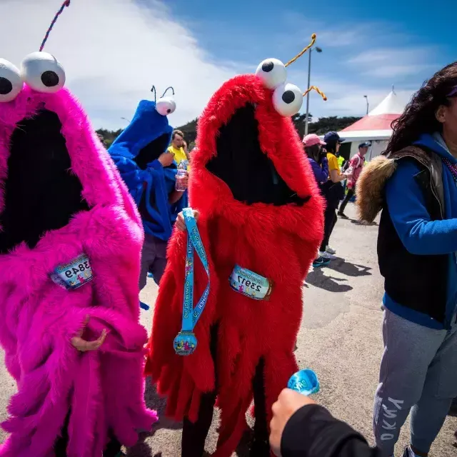 Image of two people in fuzzy costumes  with race numbers for Bay to Breakers